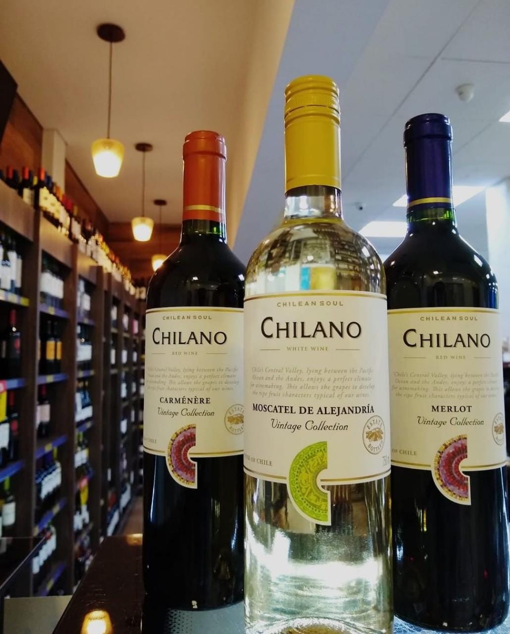 Vinho Chilano 750ml